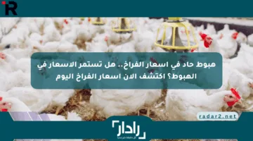 هبوط حاد في أسعار الفراخ.. هل تستمر الأسعار في الهبوط؟ اكتشف الآن أسعار الفراخ اليوم